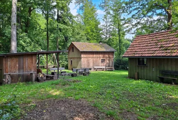 Waldhütte Schwungstein Gedern (2)